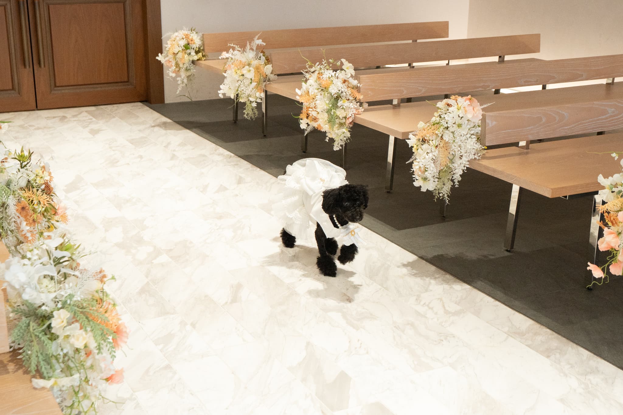 【小さな結婚式お台場店】大切な家族のわんちゃんと一緒の結婚式♡